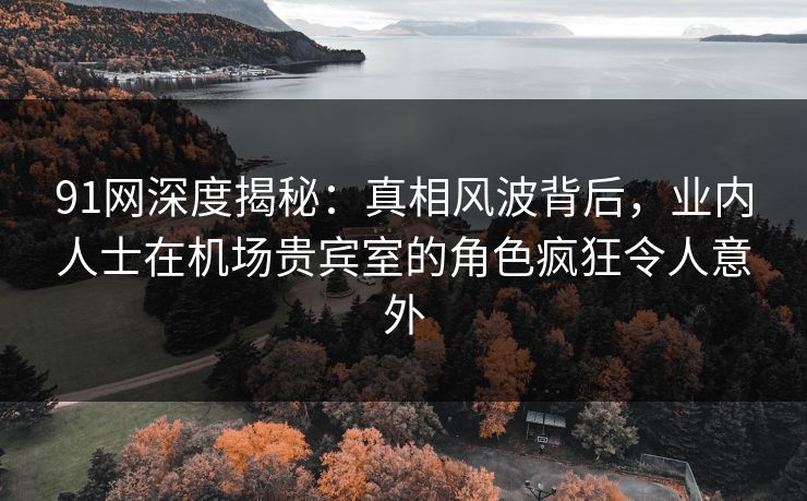 91网深度揭秘：真相风波背后，业内人士在机场贵宾室的角色疯狂令人意外