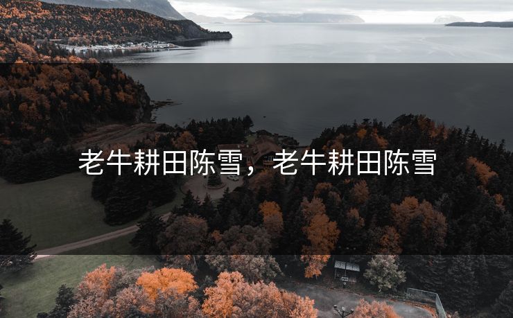 老牛耕田陈雪，老牛耕田陈雪