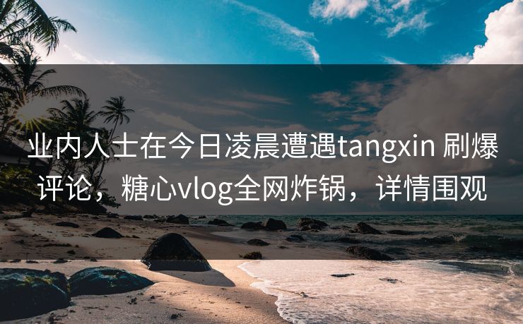 业内人士在今日凌晨遭遇tangxin 刷爆评论，糖心vlog全网炸锅，详情围观
