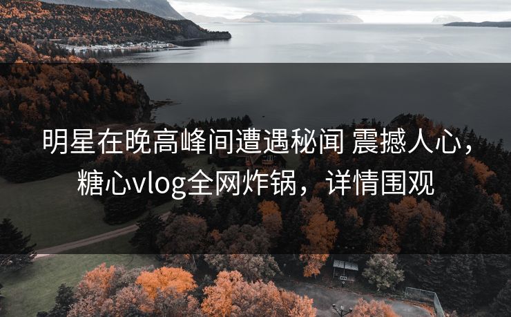 明星在晚高峰间遭遇秘闻 震撼人心，糖心vlog全网炸锅，详情围观
